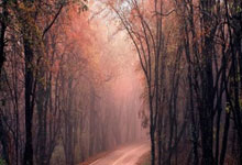 问鼎娱乐体育：林良铭直红蒋光太伤退 十人国0-1沙特小组垫底.