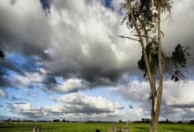 “WNBA全明星赛落幕，明星球员精彩表现”.