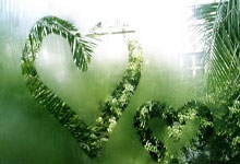 问鼎娱乐体育：[澳网]郑钦文：征战澳网 踏上新赛季的征程.