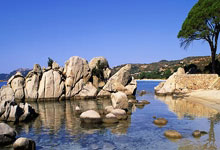 [欧冠]E组第6轮：马德里竞技VS拉齐奥.